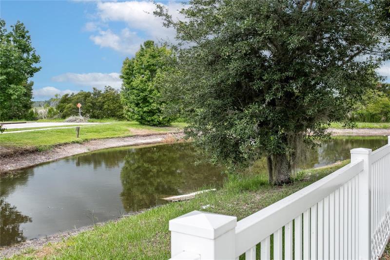 Back yard view of the pond