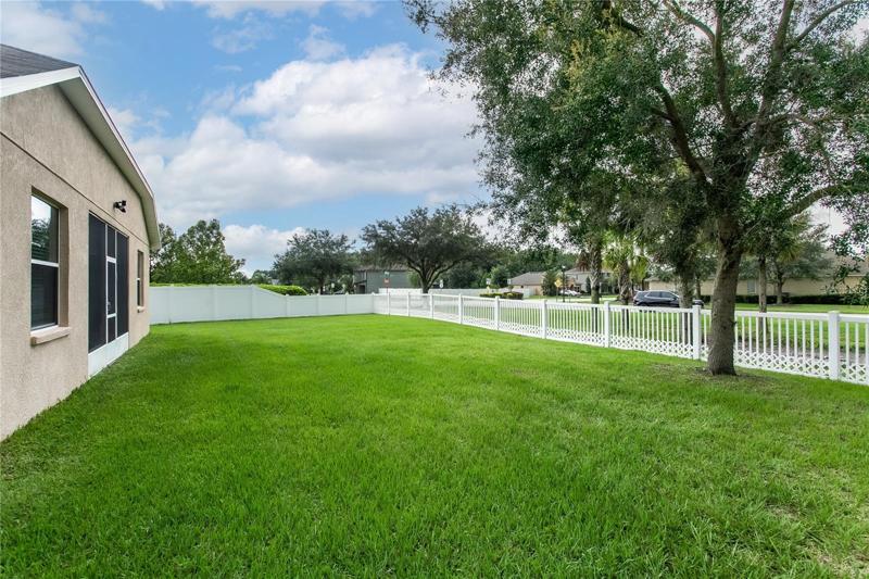 Nice and open back yard