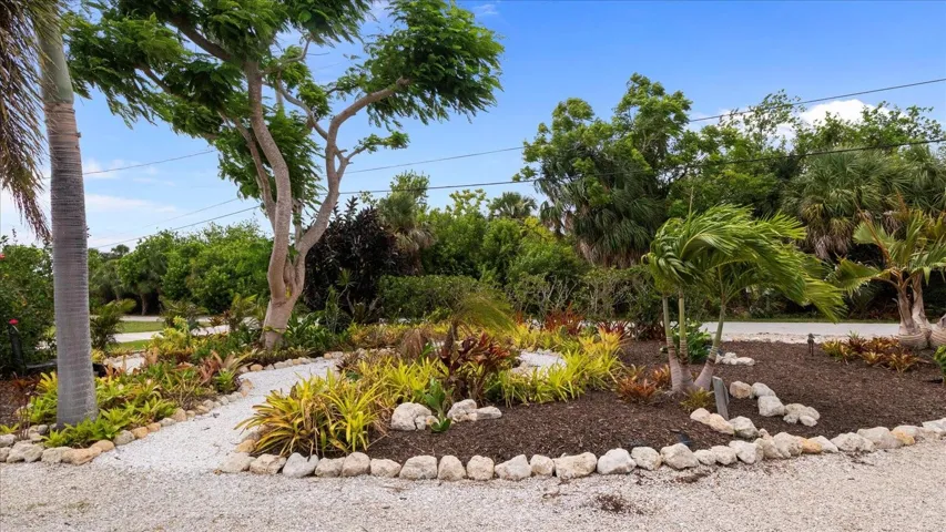 Front yard