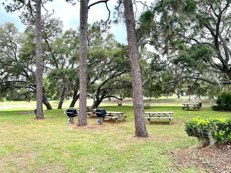 Large Common Area perfect for a Family BBQ and Games for the entire family to enjoy.