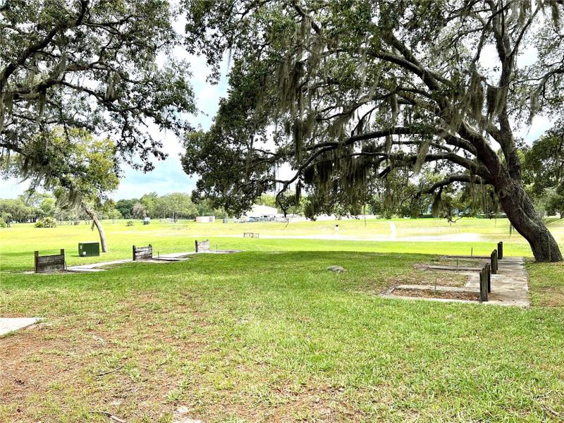 How about a game of Horseshoes