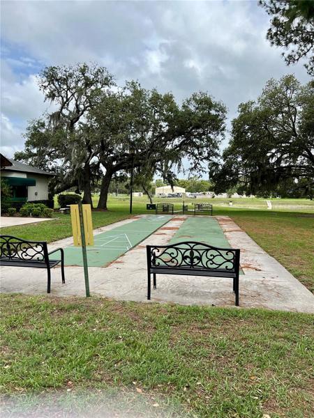 Enjoy a Game of Shuffleboard