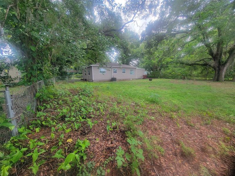 Nice Size Backyard