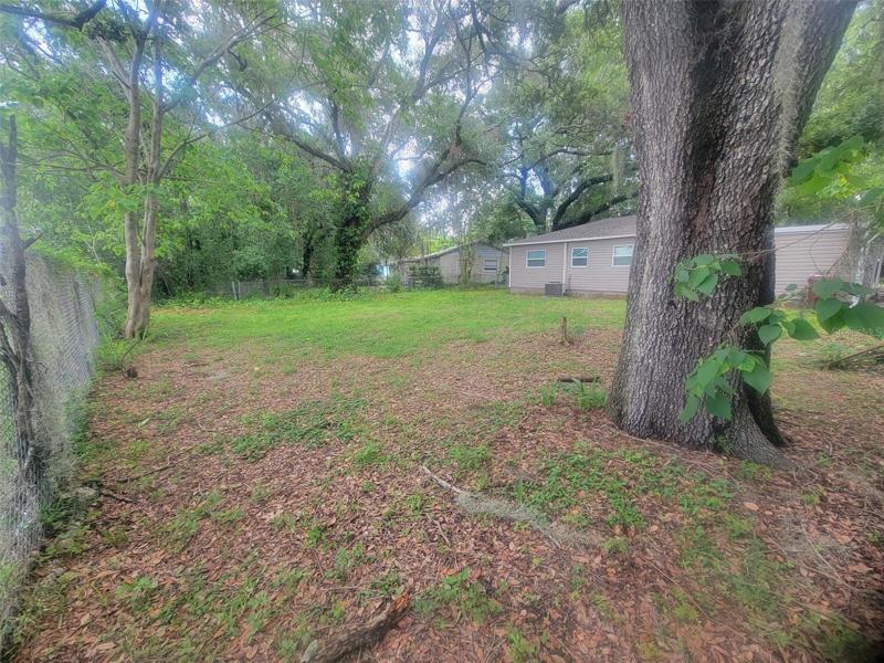 Nice Size Backyard