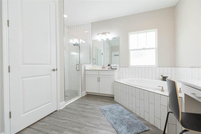 Master Tub & Shower