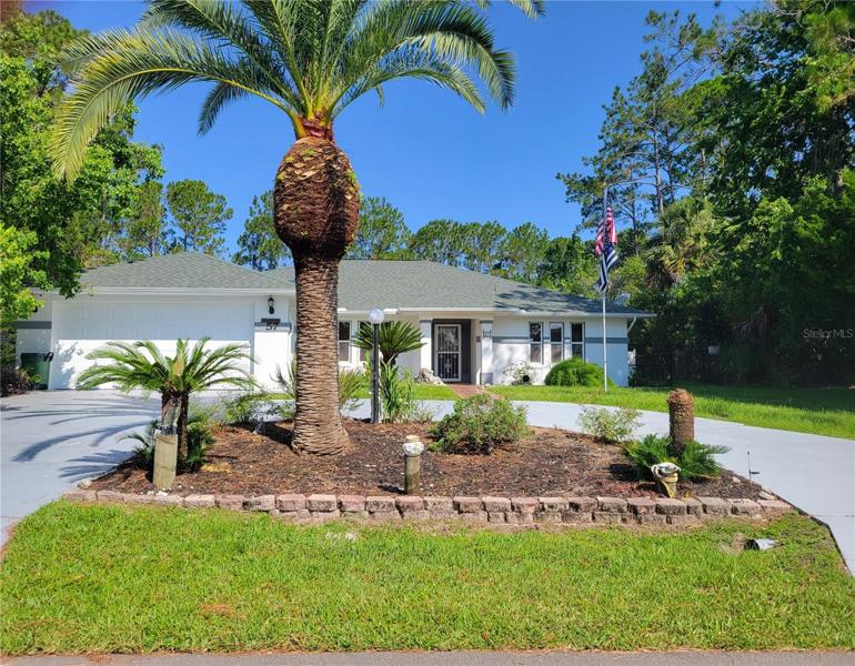 Circular driveway and beautiful pineapple palm
