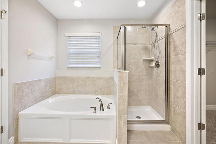 Master bath garden tub and tiled shower ~