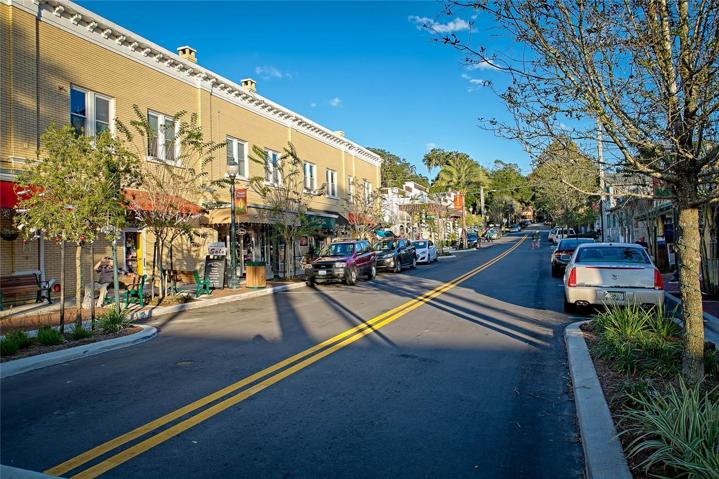 Enjoy strolling the shops and numerous festivals in downtown Mount Dora!