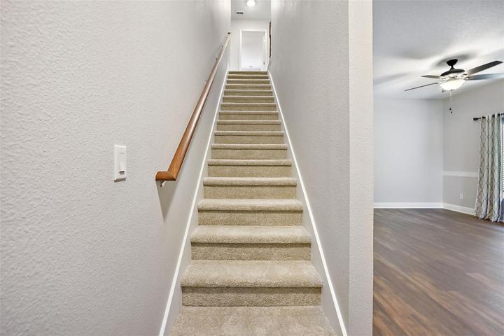 New carpet on stairs and second floor rooms ~