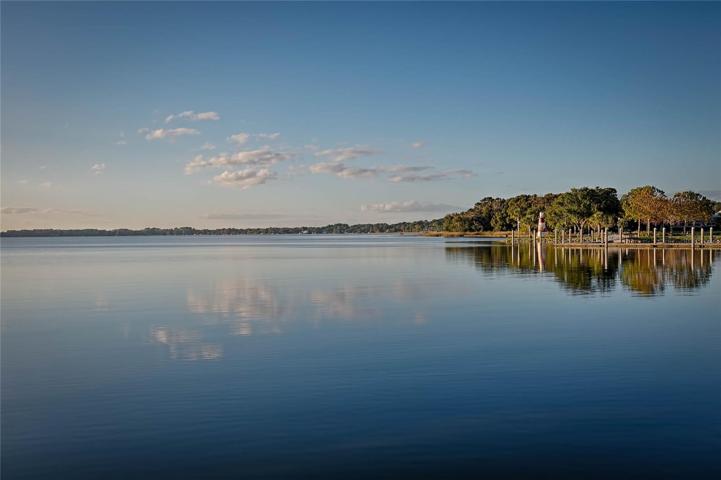 Enjoy a scenic cruise on Lake Dora, part of the Harris Chain of 7 interconnected lakes!