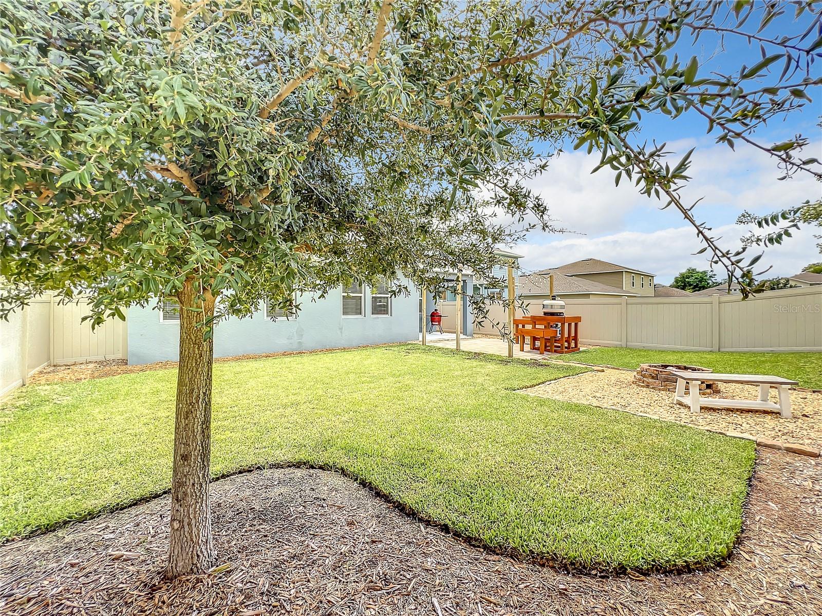 Back yard