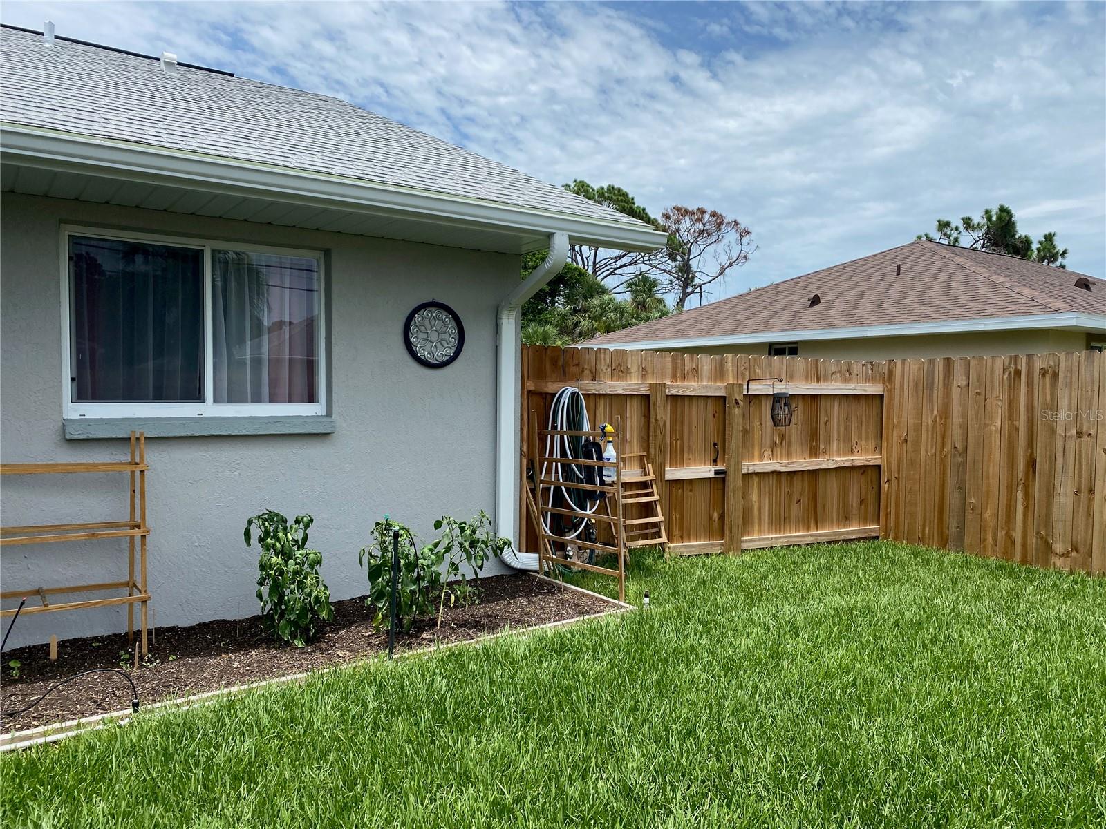 Backyard
