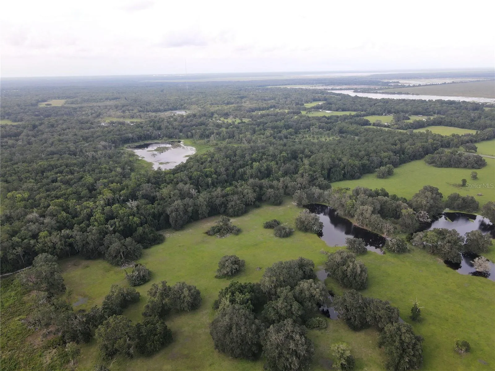 Micanopy, Florida 32667, 0 , 0 ,0,Land,For Sale,WILLISTON RD,0,GC514410