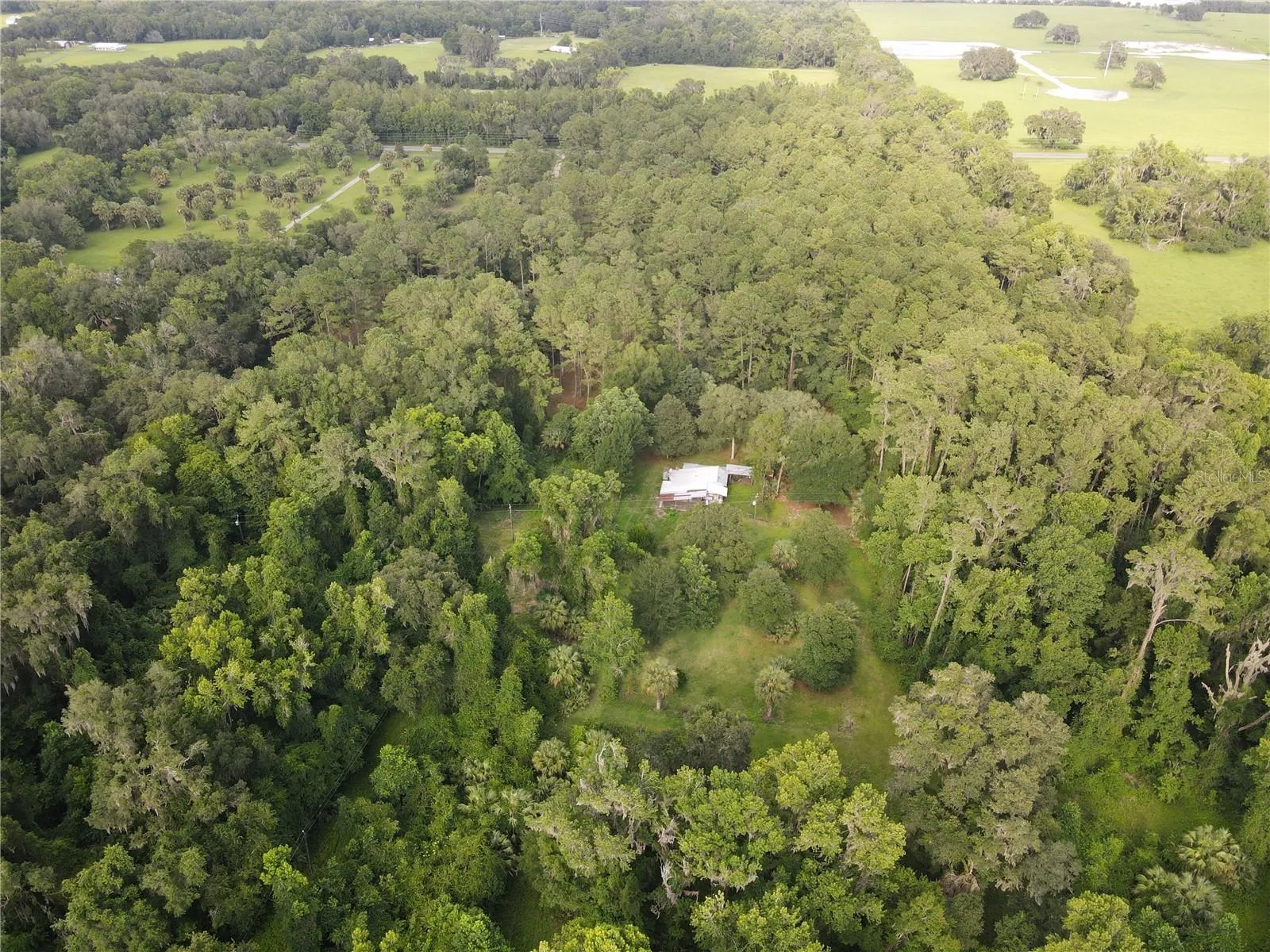 Micanopy, Florida 32667, 0 , 0 ,0,Land,For Sale,WILLISTON RD,0,GC514410