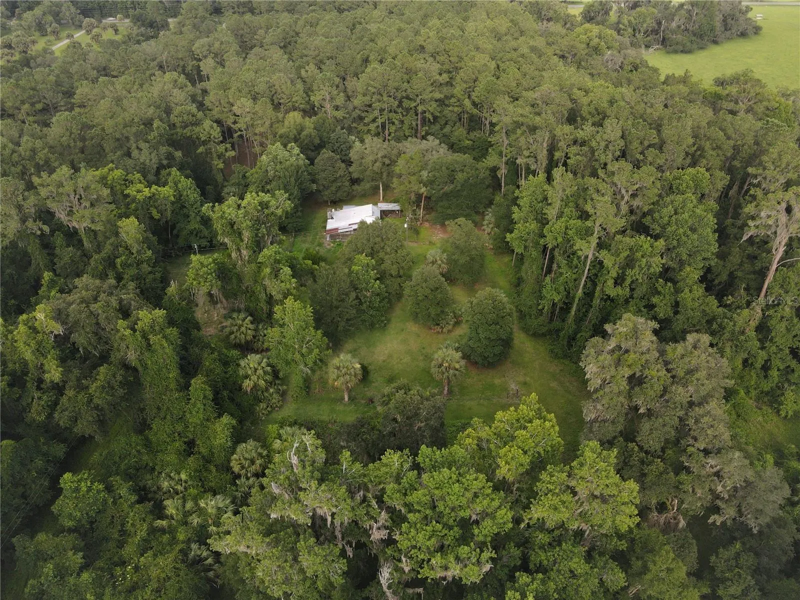 Micanopy, Florida 32667, 0 , 0 ,0,Land,For Sale,WILLISTON RD,0,GC514410