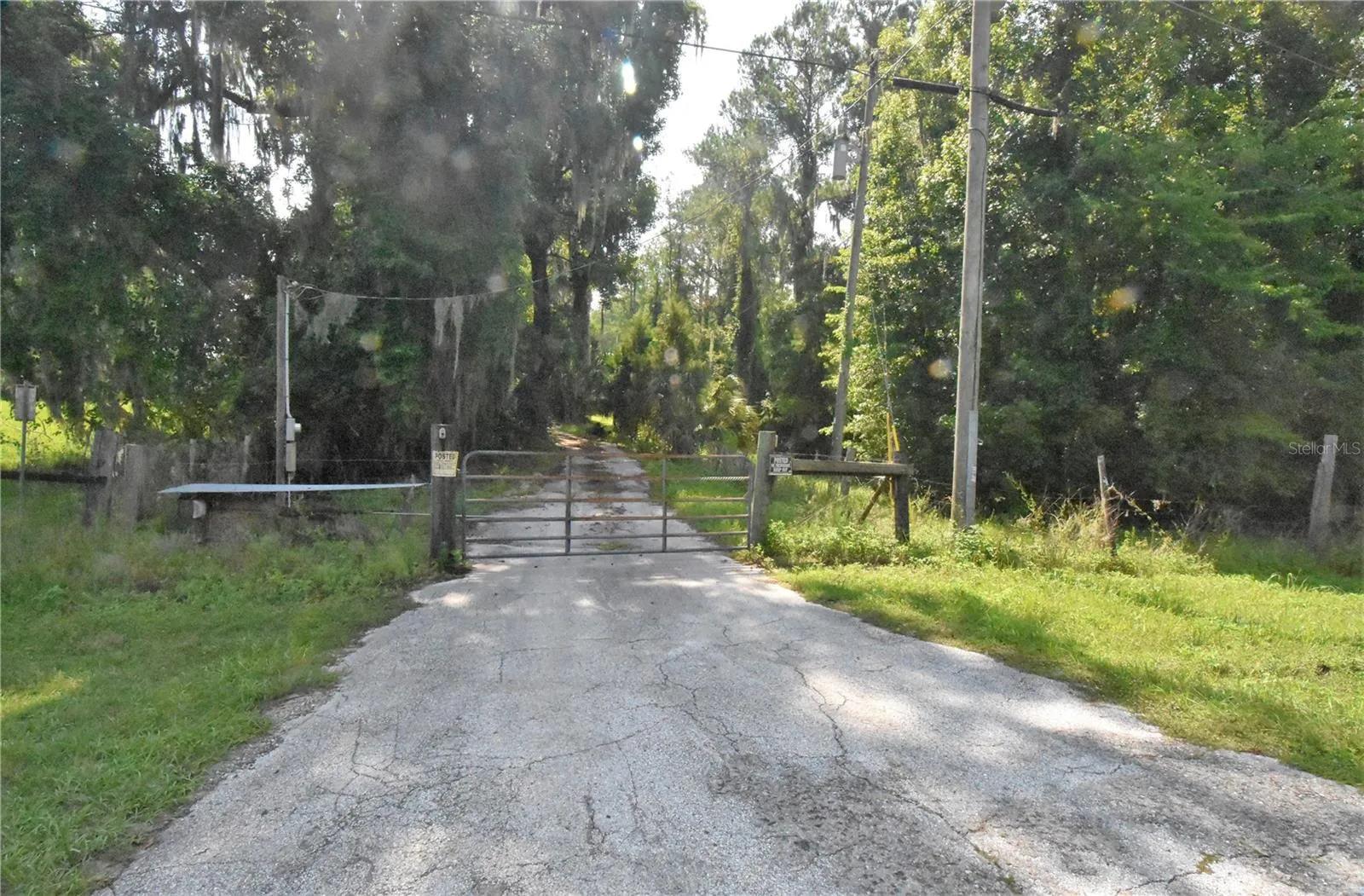 Micanopy, Florida 32667, 0 , 0 ,0,Land,For Sale,WILLISTON RD,0,GC514410