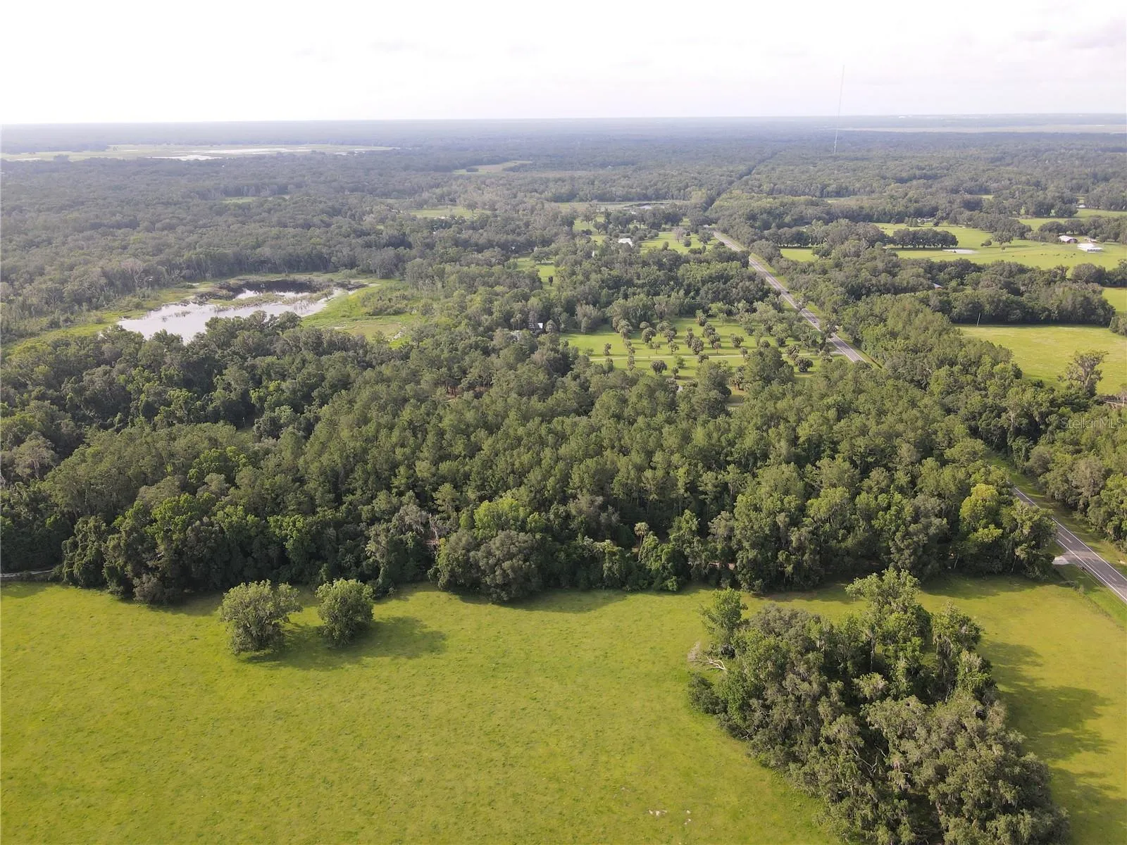 Micanopy, Florida 32667, 0 , 0 ,0,Land,For Sale,WILLISTON RD,0,GC514410