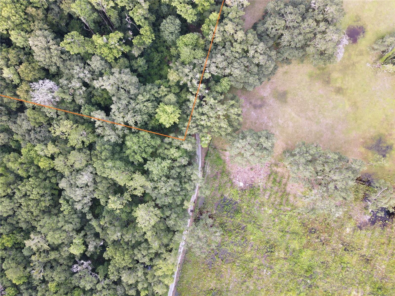 Micanopy, Florida 32667, 0 , 0 ,0,Land,For Sale,WILLISTON RD,0,GC514410
