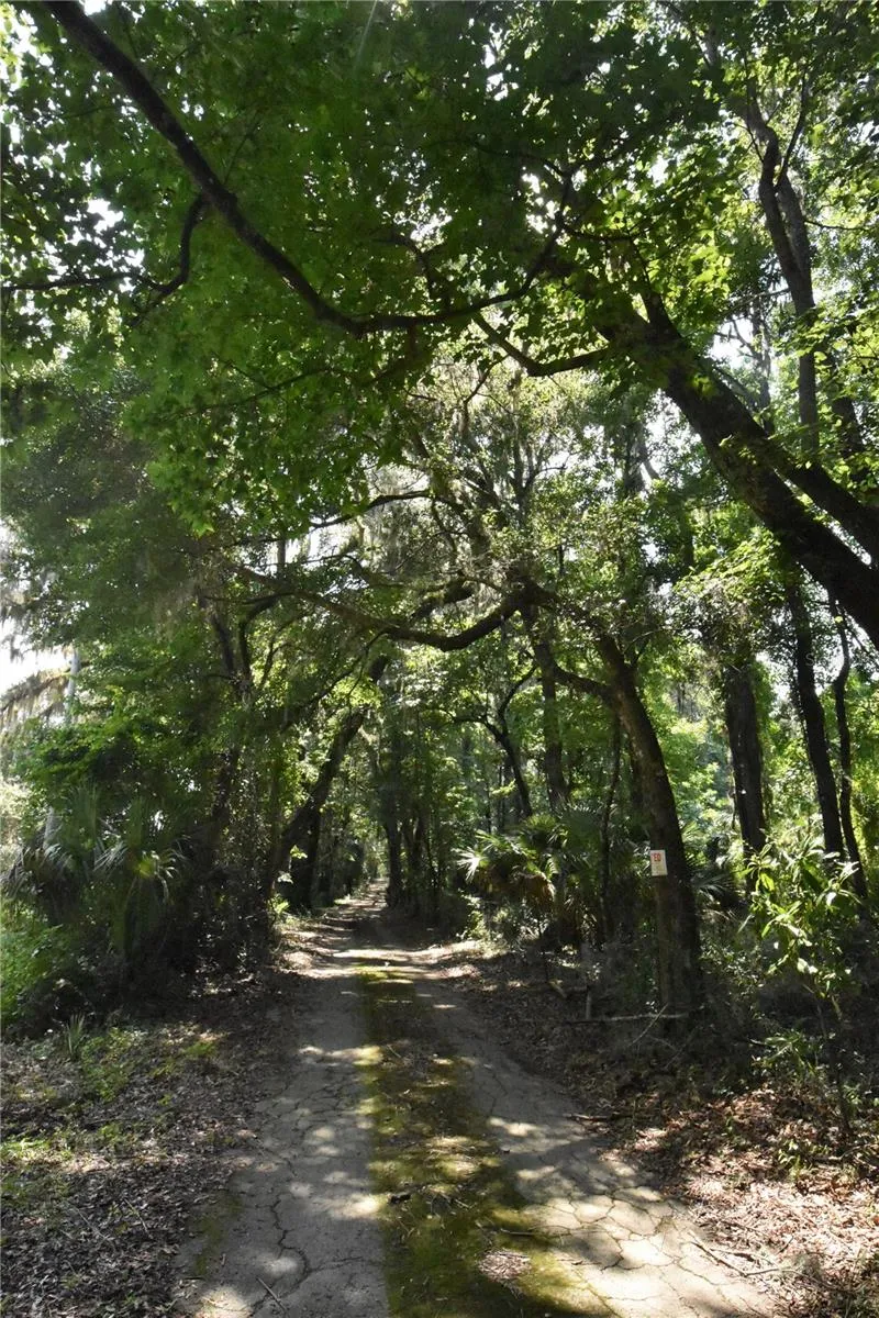 Micanopy, Florida 32667, 0 , 0 ,0,Land,For Sale,WILLISTON RD,0,GC514410