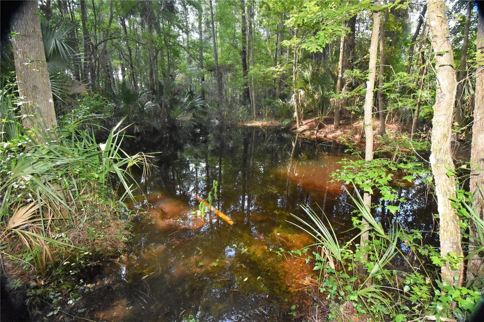 Micanopy, Florida 32667, 0 , 0 ,0,Land,For Sale,WILLISTON RD,0,GC514410