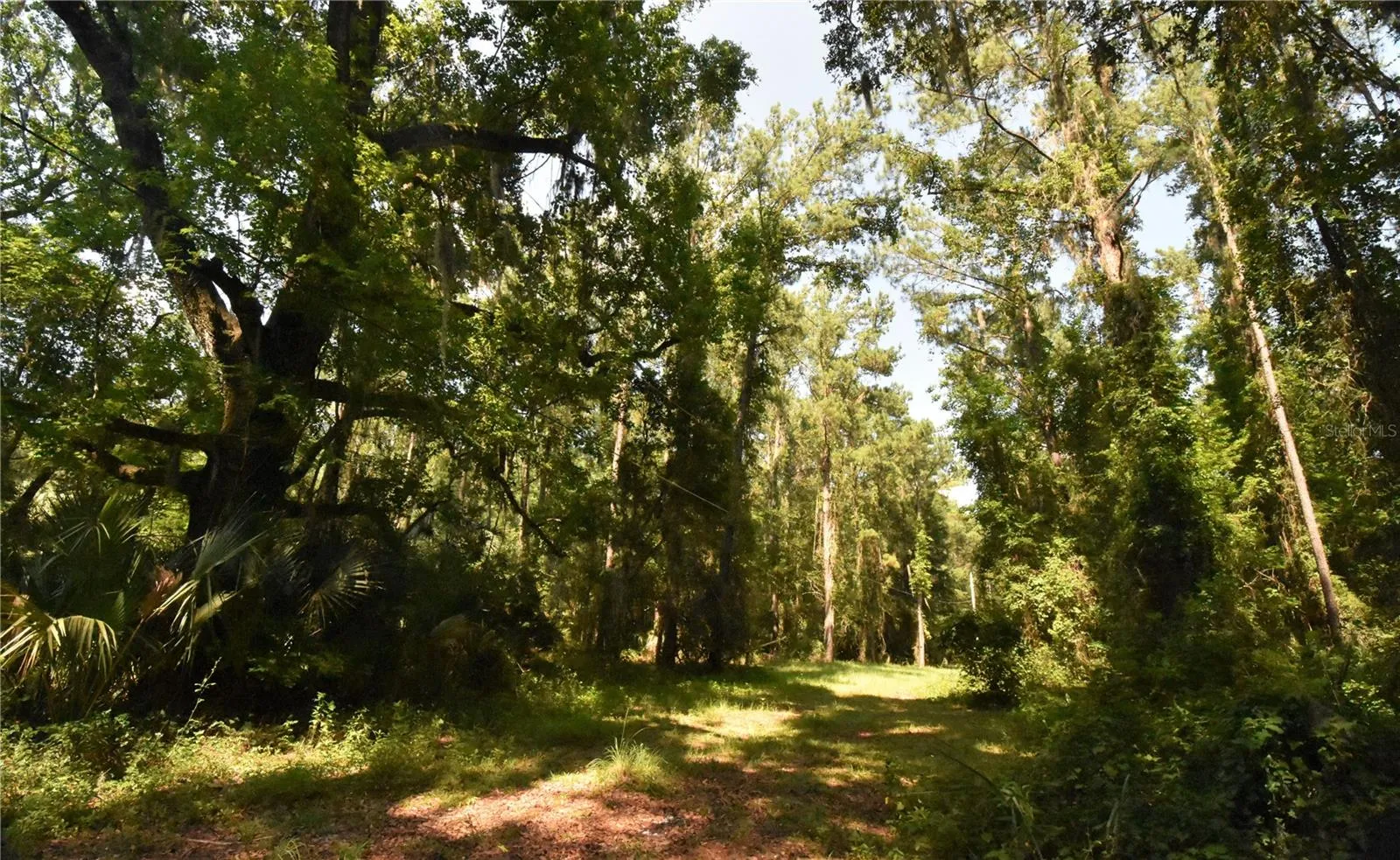 Micanopy, Florida 32667, 0 , 0 ,0,Land,For Sale,WILLISTON RD,0,GC514410