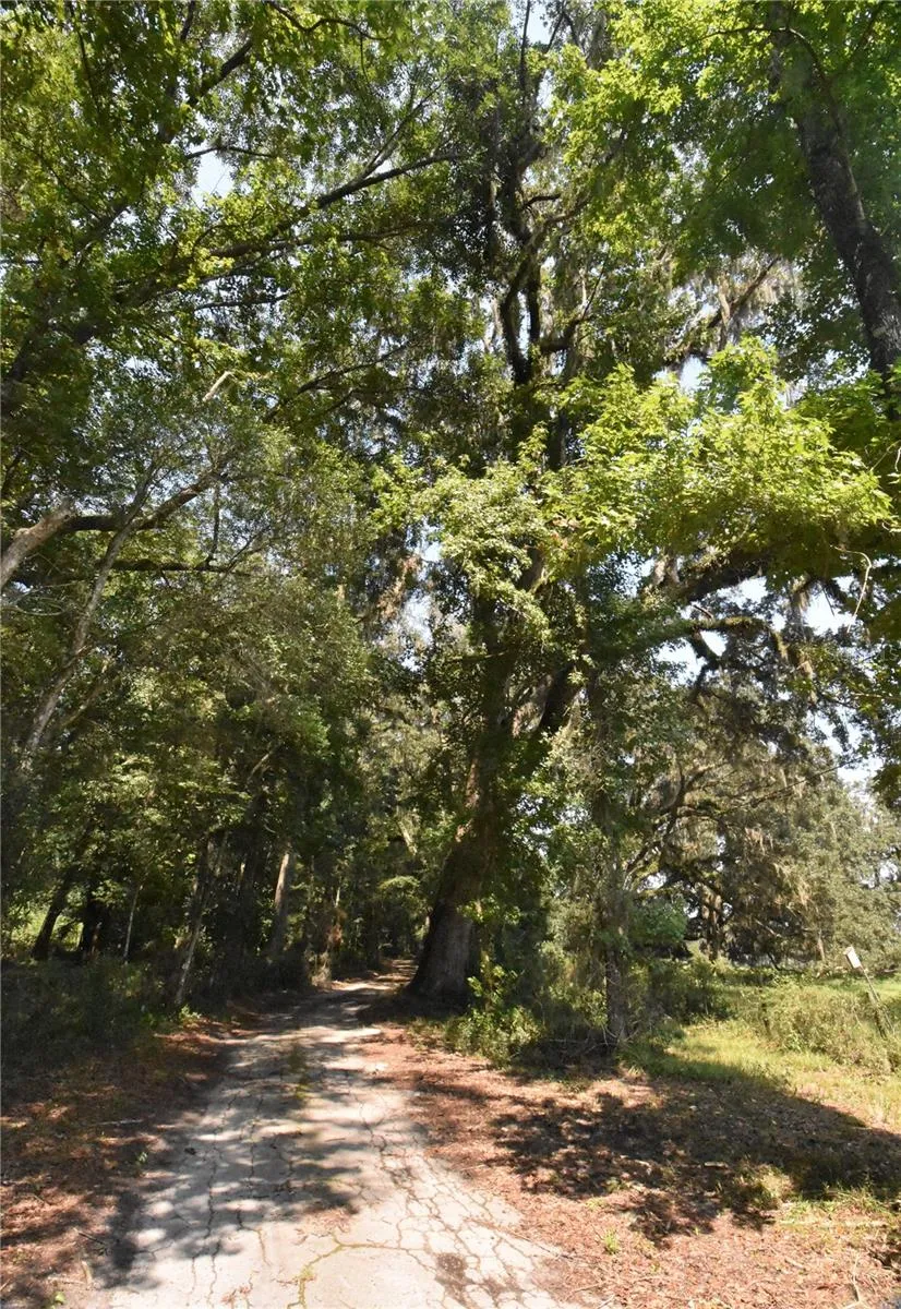 Micanopy, Florida 32667, 0 , 0 ,0,Land,For Sale,WILLISTON RD,0,GC514410