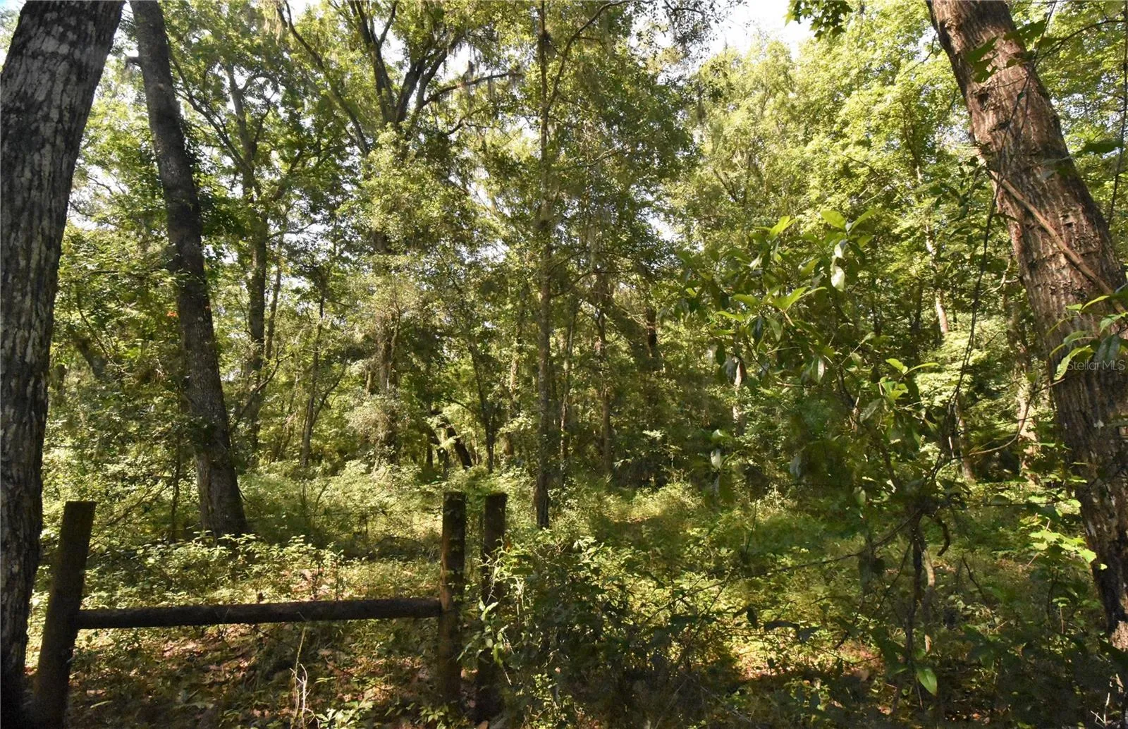 Micanopy, Florida 32667, 0 , 0 ,0,Land,For Sale,WILLISTON RD,0,GC514410