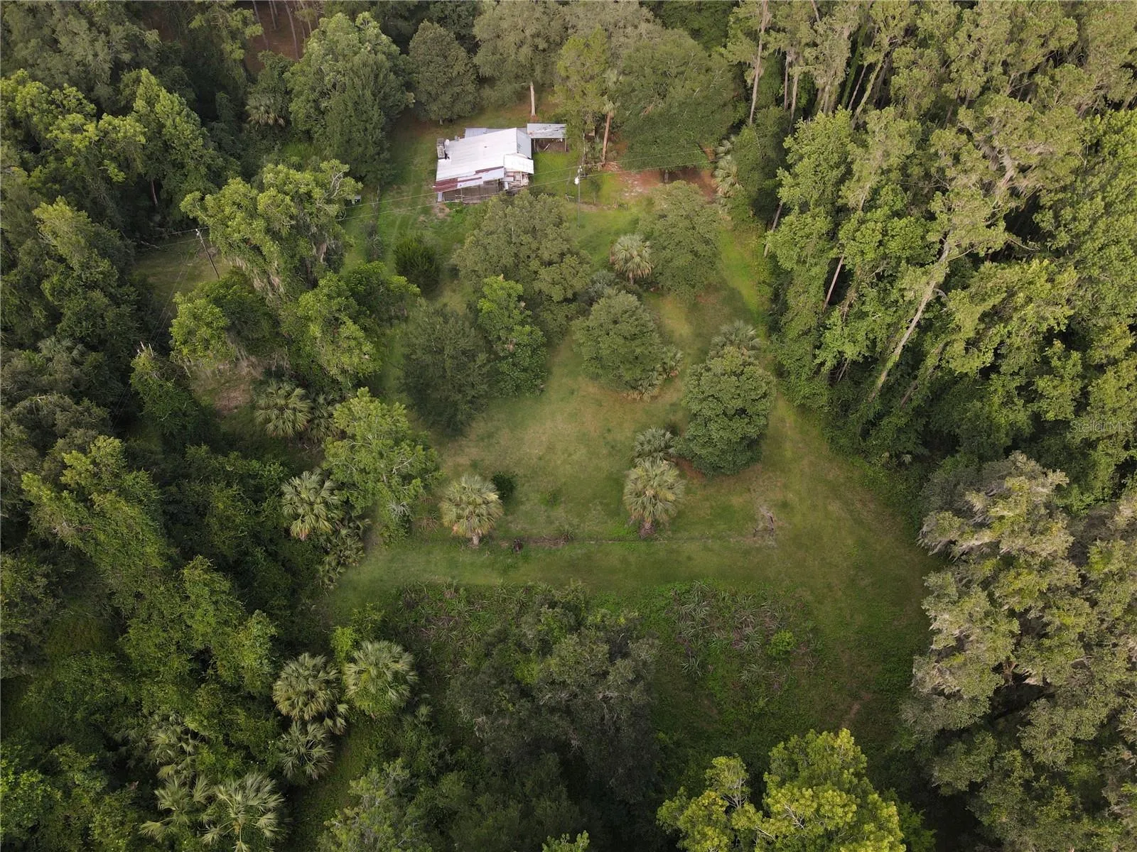 Micanopy, Florida 32667, 0 , 0 ,0,Land,For Sale,WILLISTON RD,0,GC514410