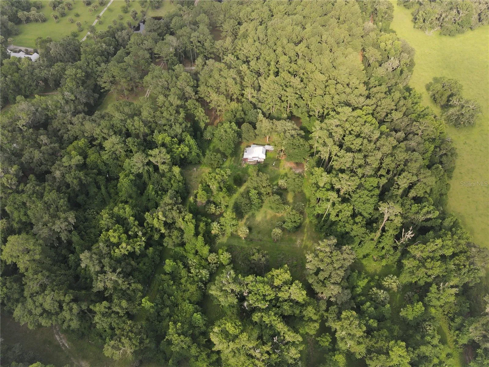 Micanopy, Florida 32667, 0 , 0 ,0,Land,For Sale,WILLISTON RD,0,GC514410