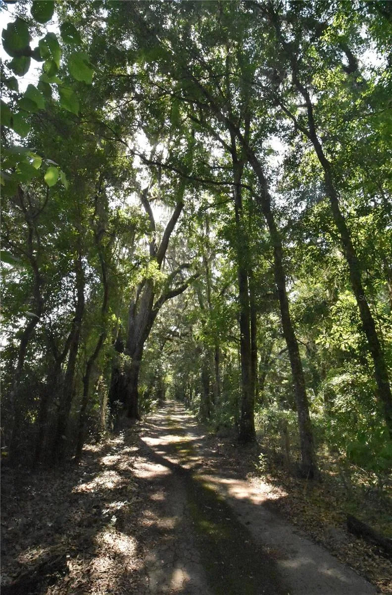 Micanopy, Florida 32667, 0 , 0 ,0,Land,For Sale,WILLISTON RD,0,GC514410