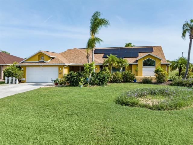 Solar, Palm trees and Florida flowers