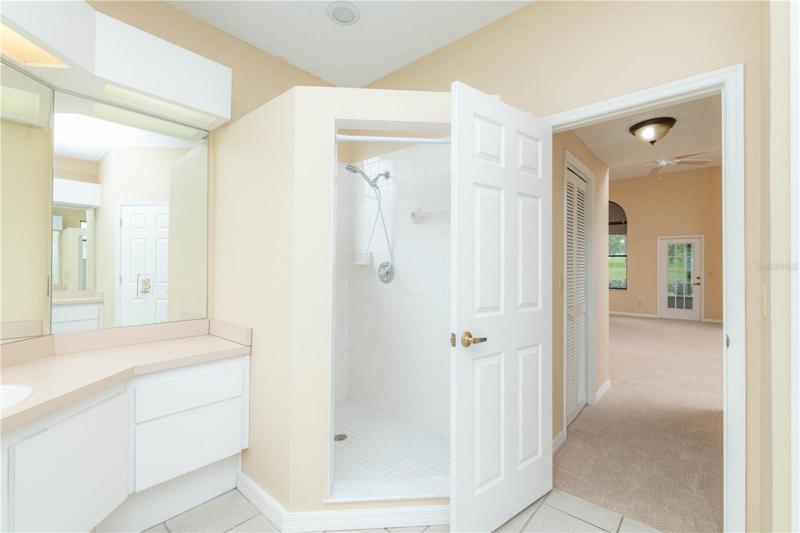Master Bath Step-in Shower