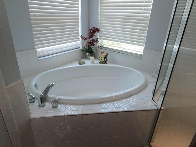 Master Bathroom Garden Tub