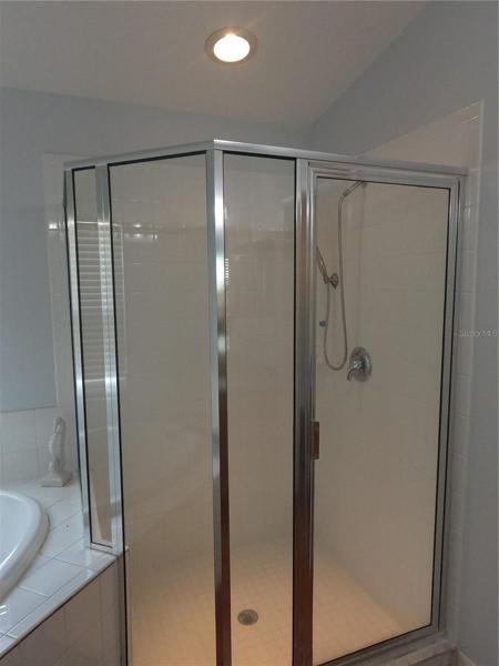Master Bathroom Shower