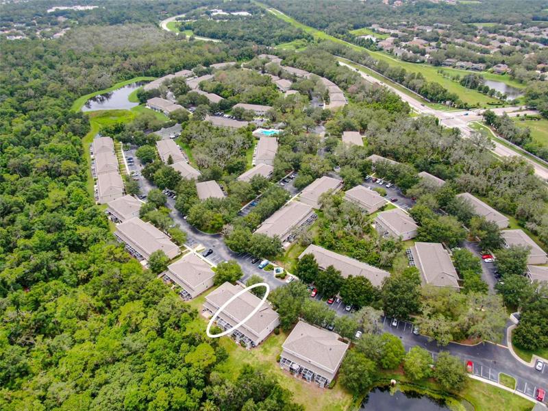 Aerial view of the Fishhawk Ridge townhome area.