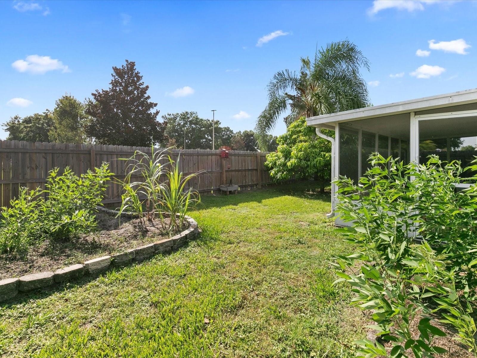 Spacious backyard