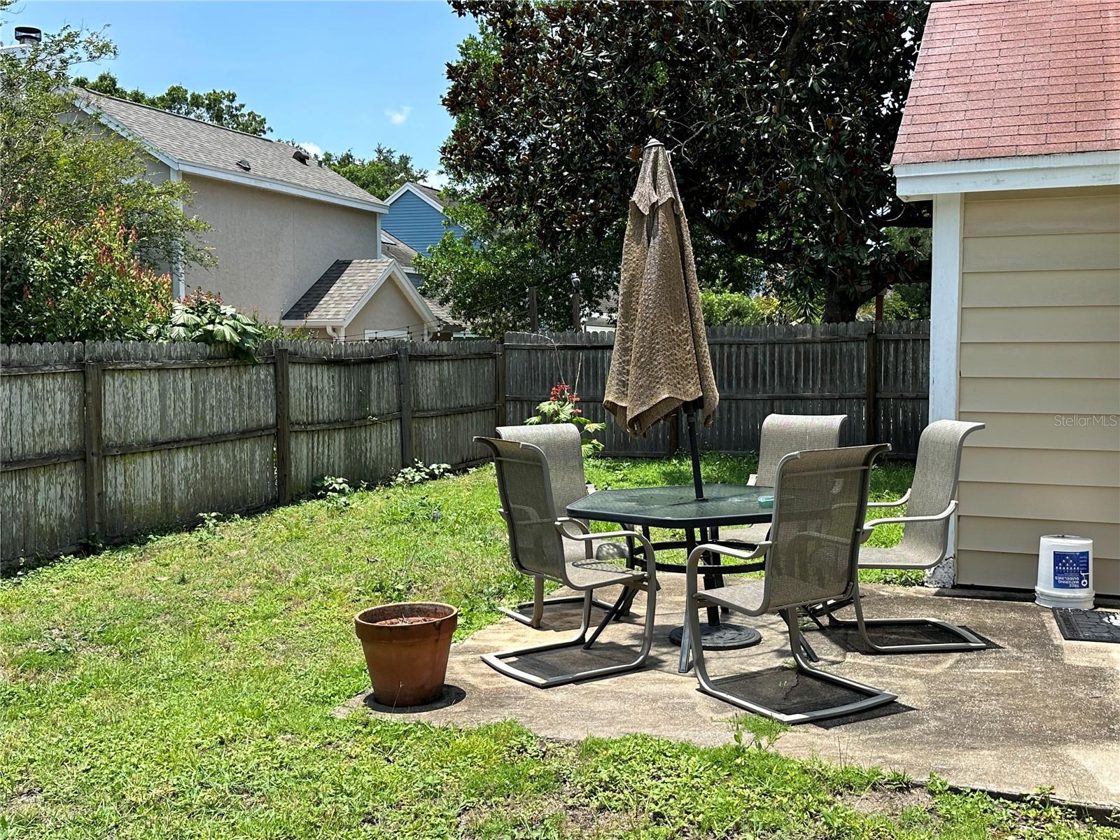 Back Yard