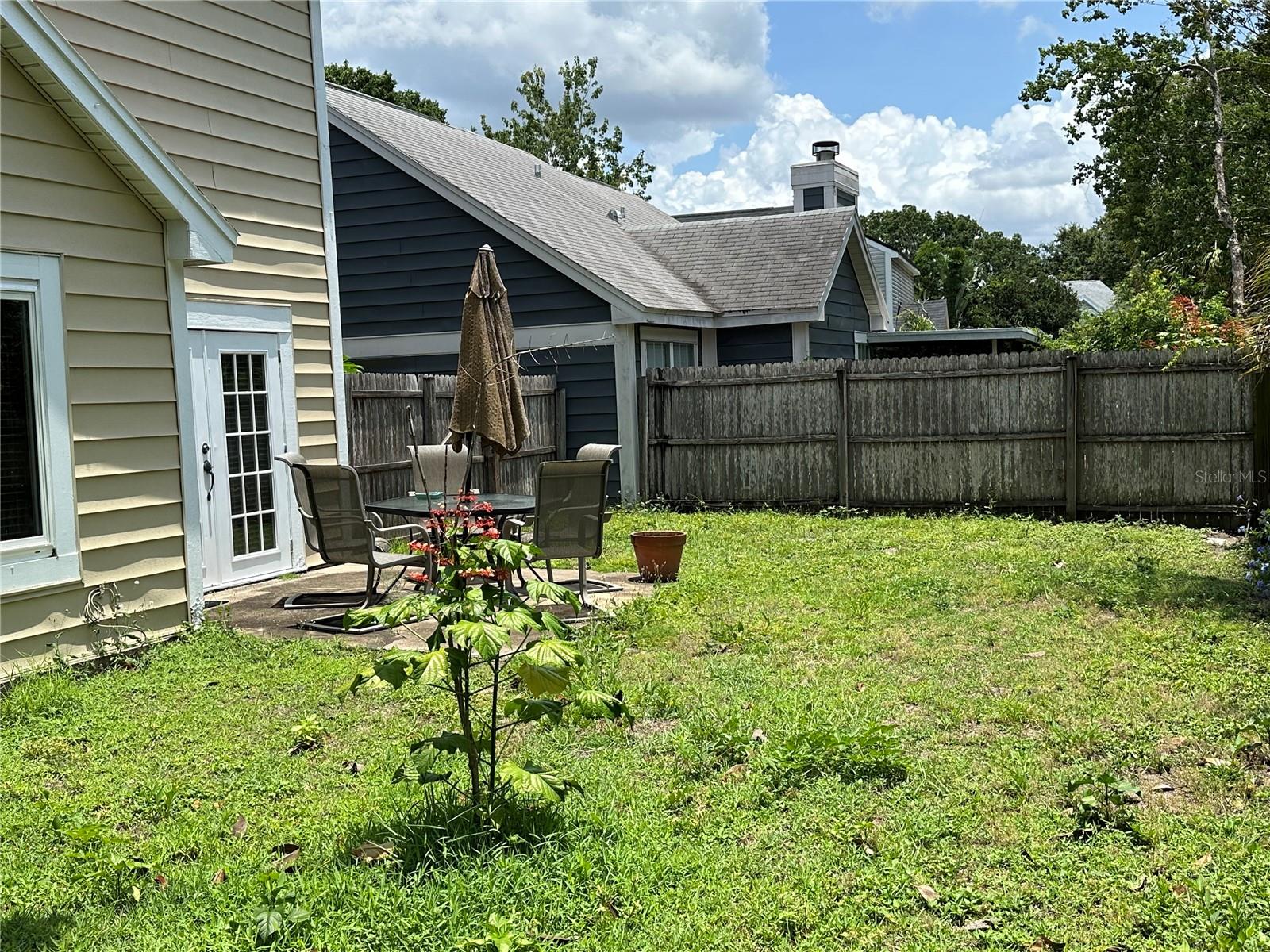 Back Yard