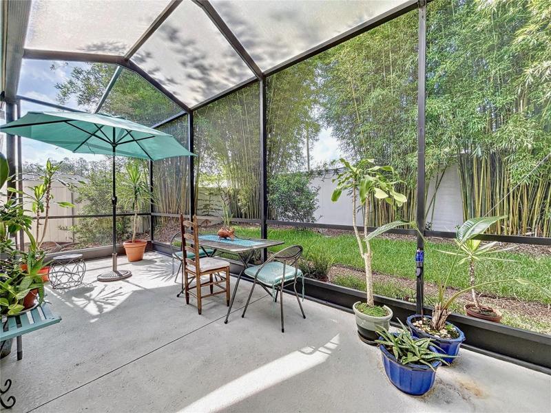 Back Porch