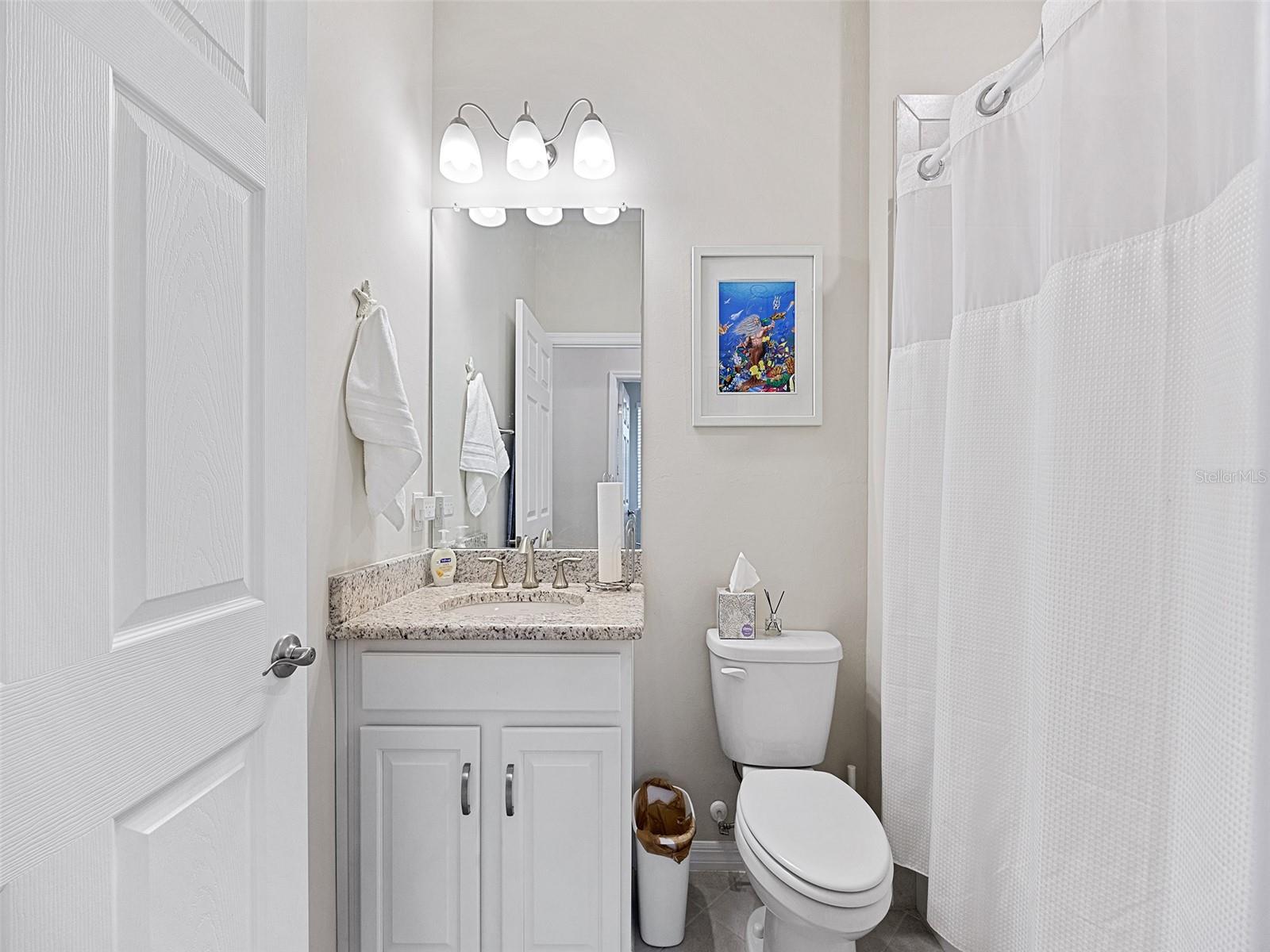 Guest bathroom