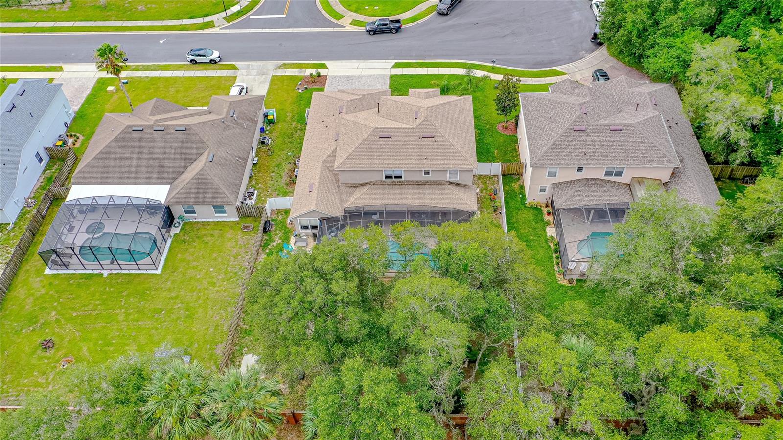 Mature Trees add Additional Privacy