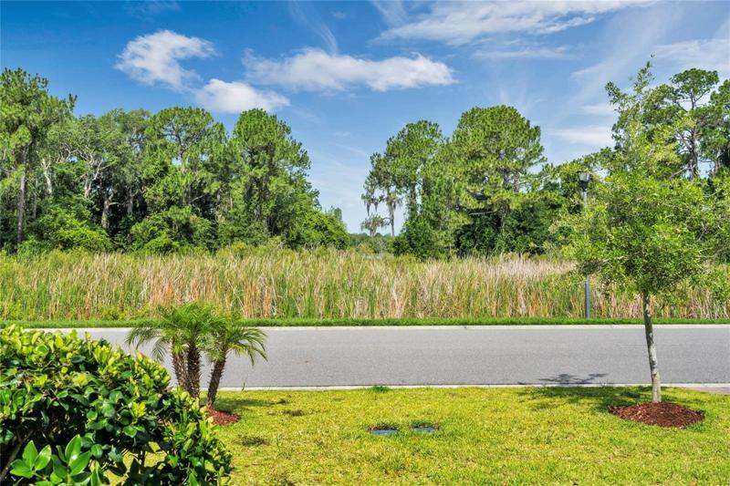Property overlooks the conservation area