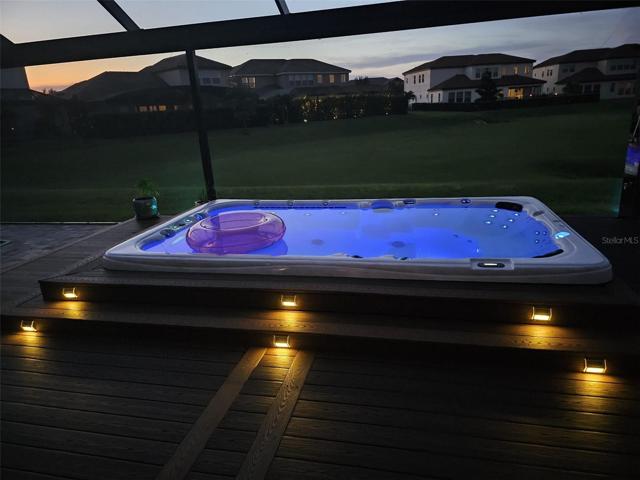 Swim Spa