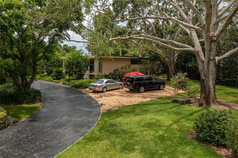 Side Yard