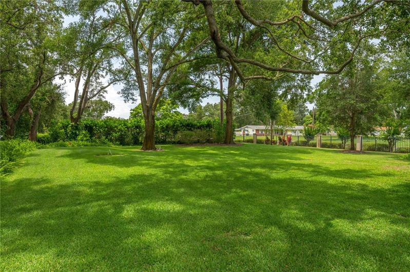 Side Yard