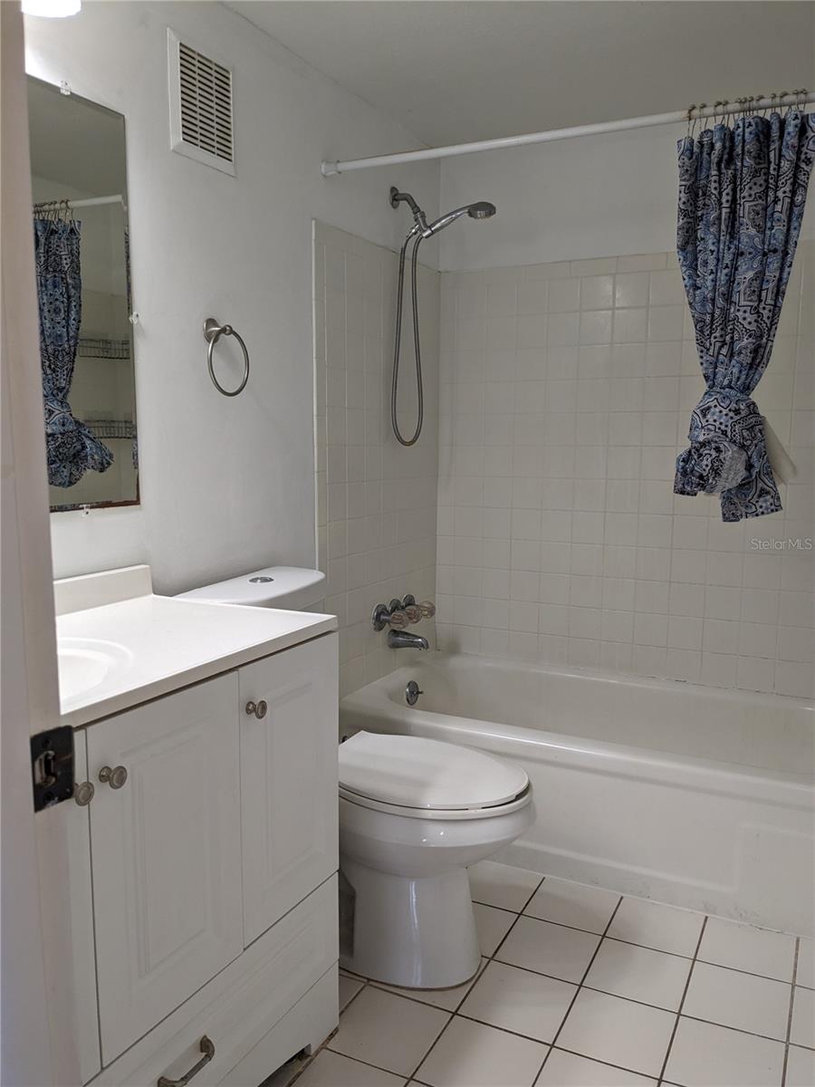 Main Bath 1 and Shower
