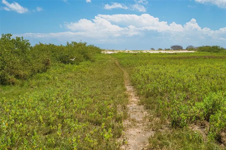 Path to Beach