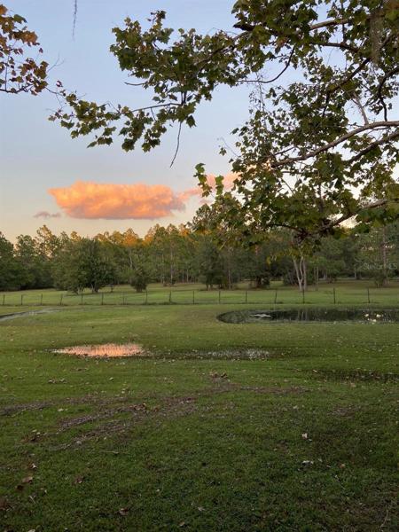 Owner-provided photos