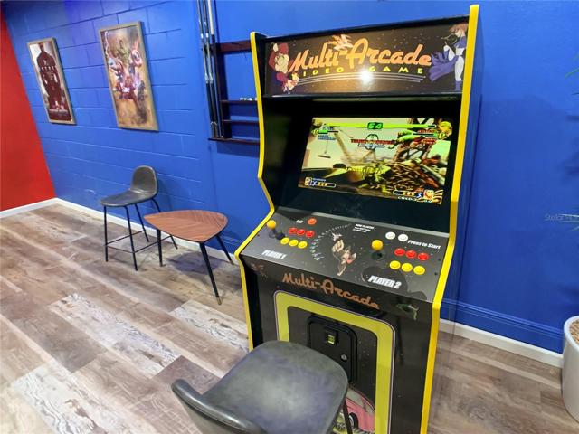 New game room created from the 2 car garage.