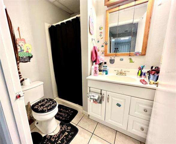 Duplex - unit B- bathroom w/ shower